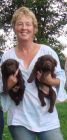 Me with two labrador pups
